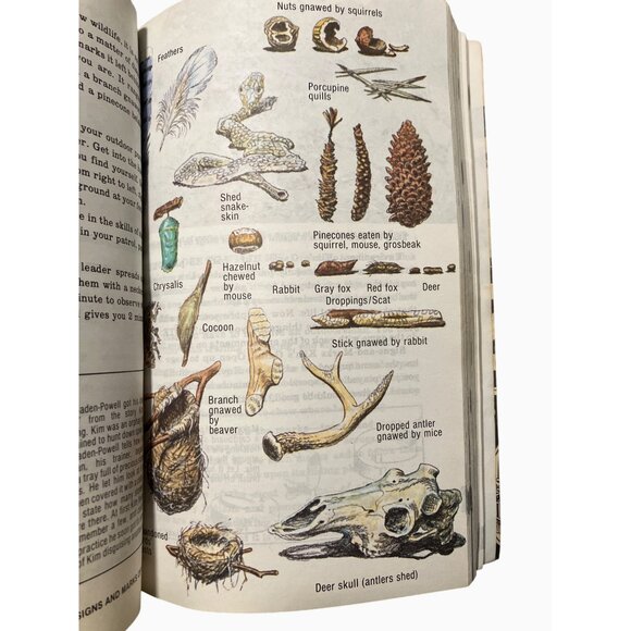 Official Boy Scout Handbook 1979 Ninth Edition First Printing - Picture 14 of 16